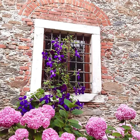Villa Vecchia Fontana Al Mare - Tra Viaregggio Forte De Marmi E Cinque Terre- Haus Am Meer Badeort Naehe La Spezia Villa