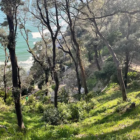Villa Vecchia Fontana Al Mare - Tra Viaregggio Forte De Marmi E Cinque Terre- Haus Am Meer Badeort Naehe La Spezia Villa Bocca di Magra