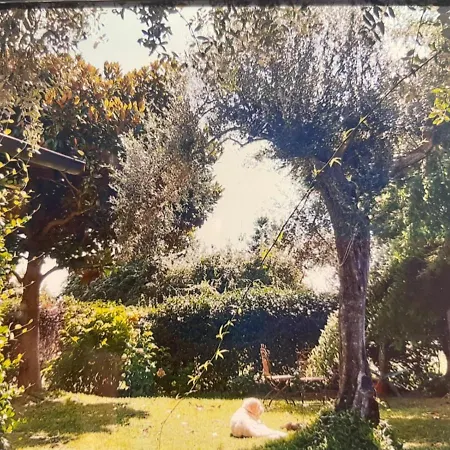 Villa Villa Vecchia Fontana Al Mare - Tra Viaregggio Forte De Marmi E Cinque Terre- Haus Am Meer Badeort Naehe La Spezia