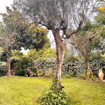 Villa Vecchia Fontana Al Mare - Tra Viaregggio Forte De Marmi E Cinque Terre- Haus Am Meer Badeort Naehe La Spezia *